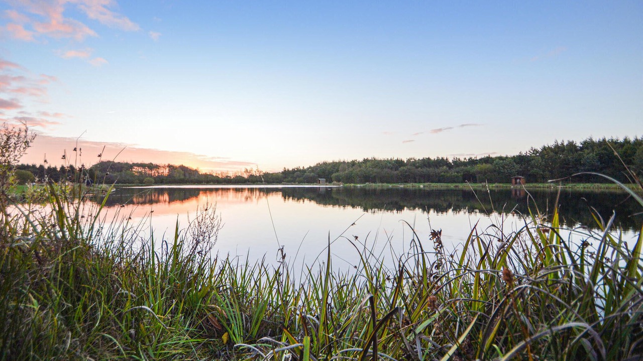 Photo of Others in Arrild Ferieby