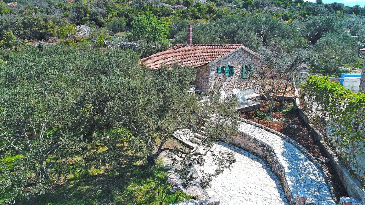 Photo of Outdoor in Tkon