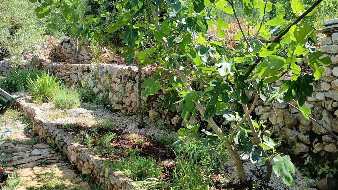Photo of Outdoor in Tkon