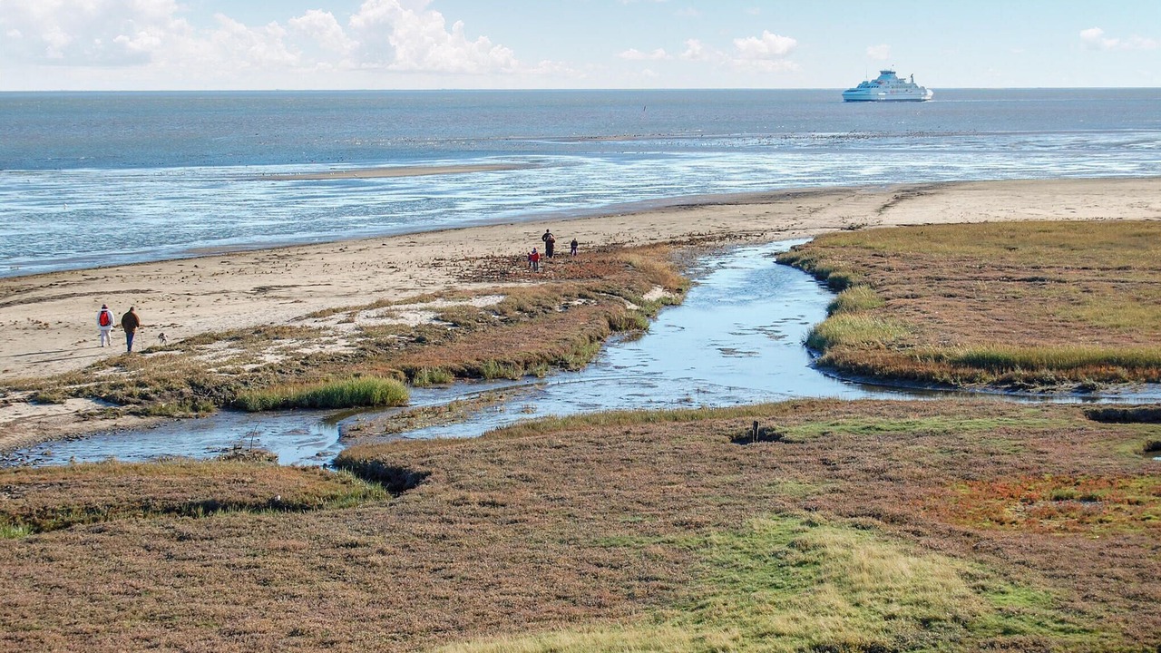 Photo of Others in Sønderstrand