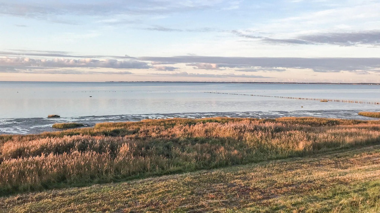 Photo of Others in Sønderstrand
