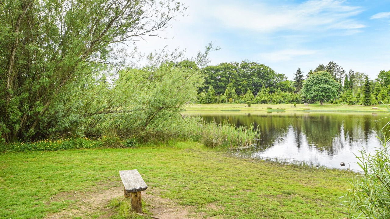 Photo of Others in Silkeborg