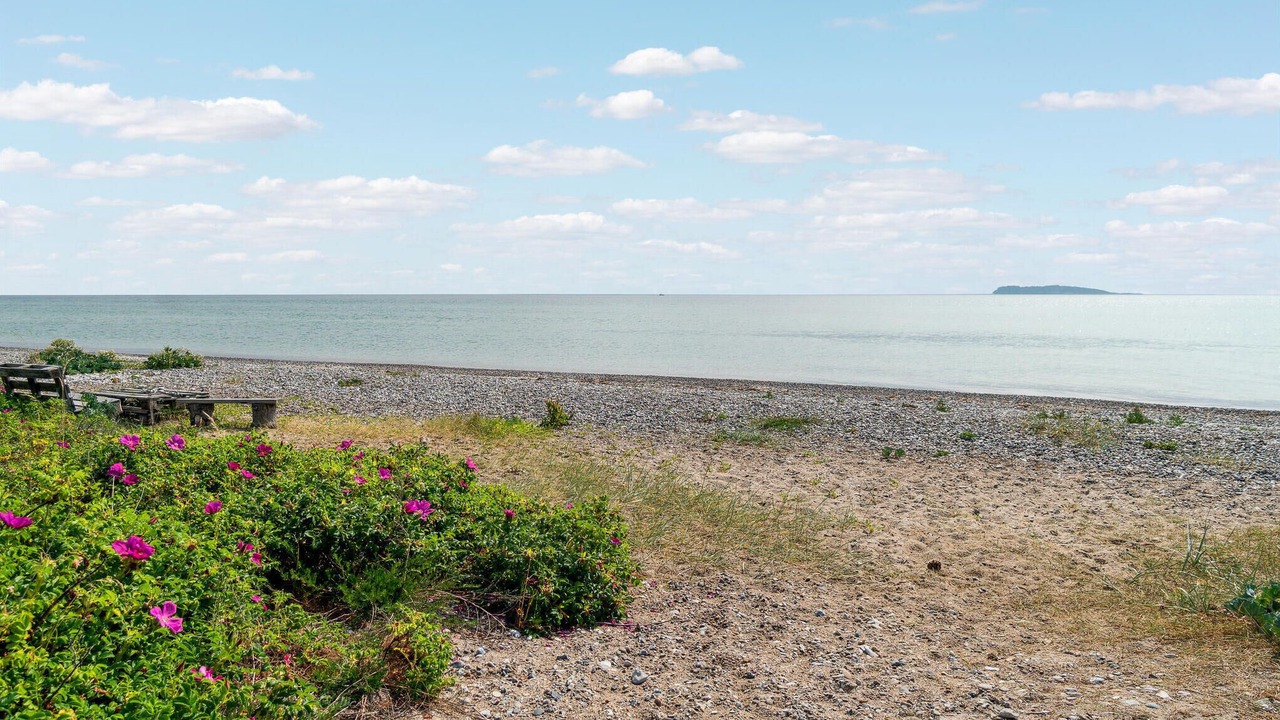 Photo of Others in Elsegarde Strand