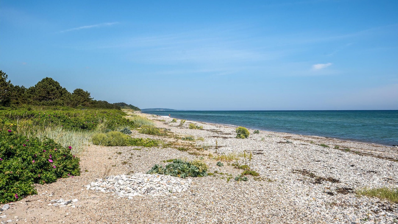 Photo of Others in Elsegarde Strand