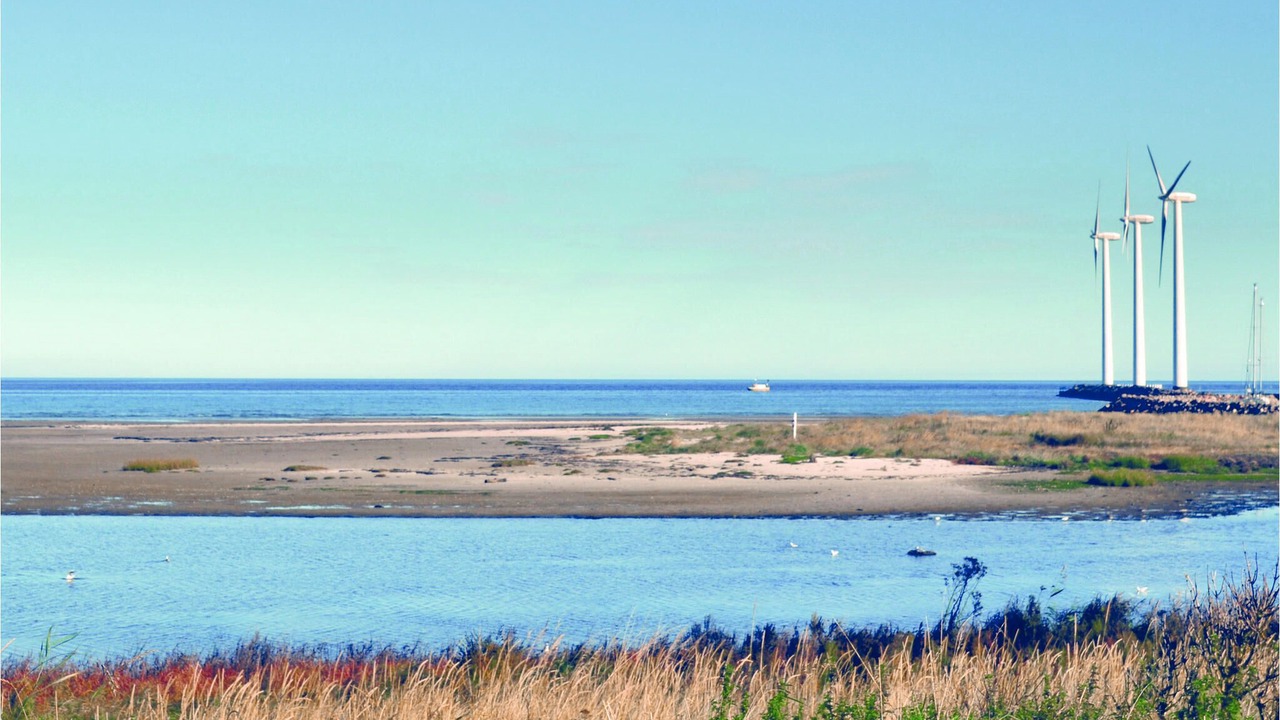 Photo of Others in Bønnerup Strand