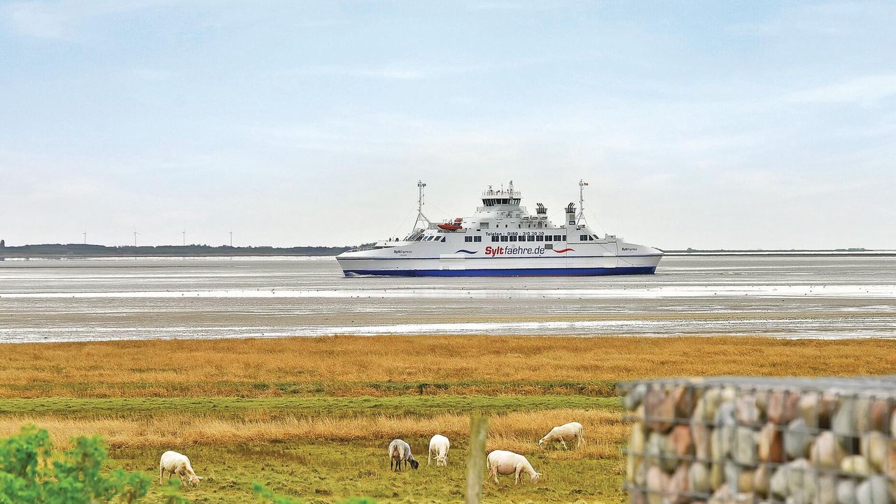 Photo of Others in Sønderstrand