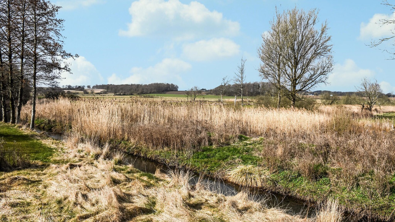 Photo of Others in Bjert