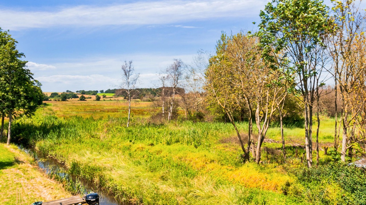 Photo of Others in Bjert