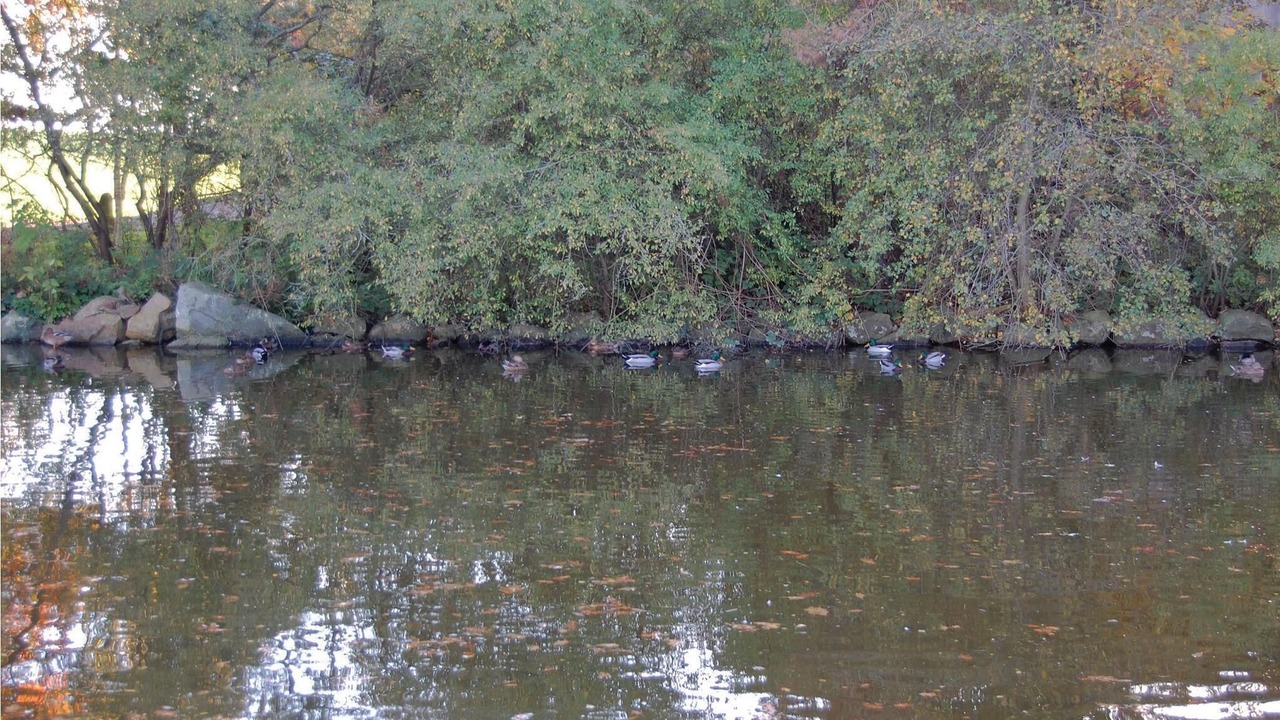 Photo of Others in Høruphav