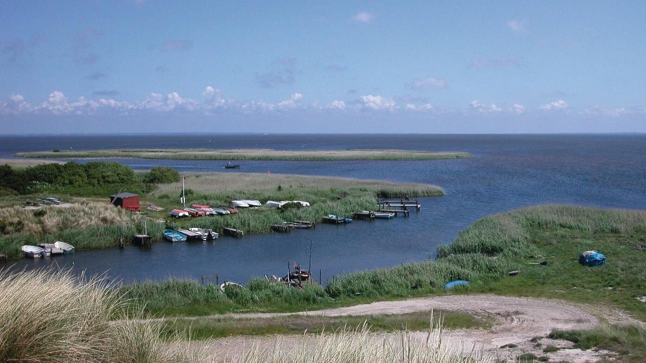 Photo of Others in Bjerregaard