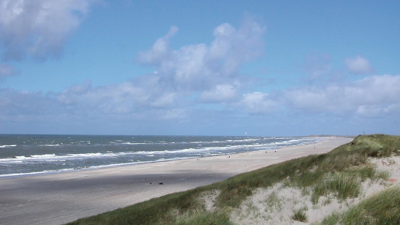 Photo of Others in Bjerregaard