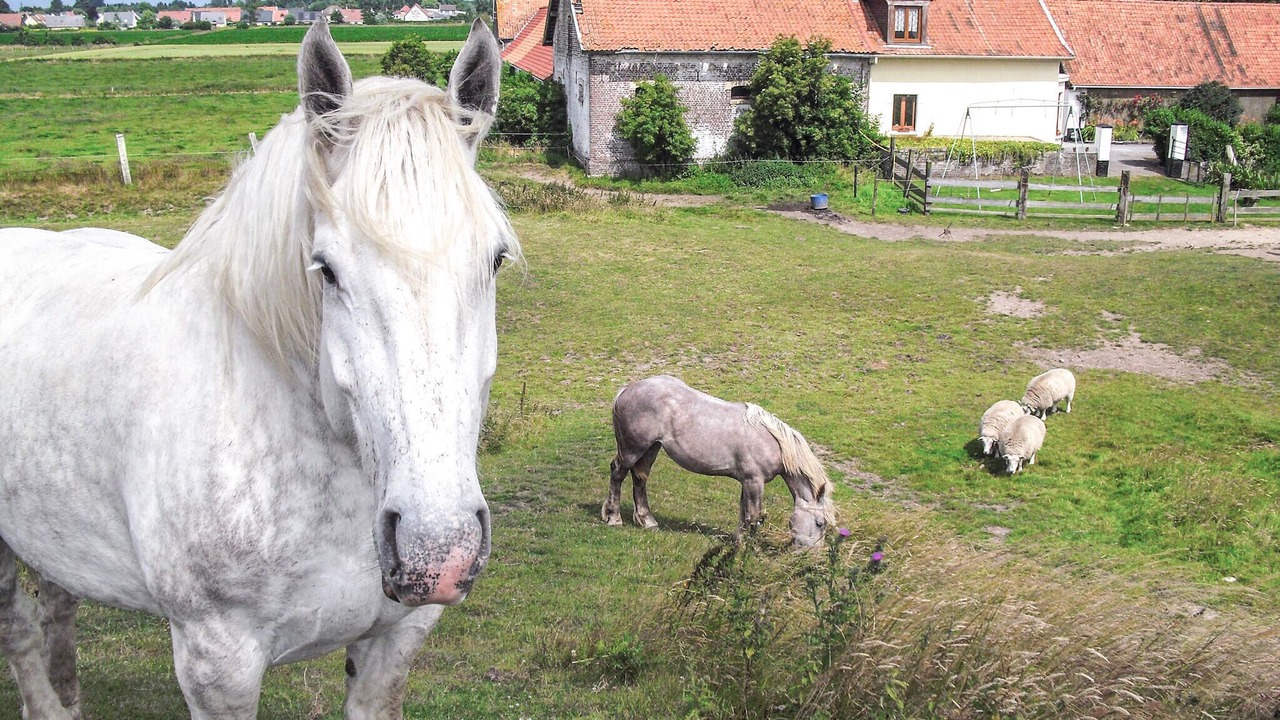 Photo of Others in Hames-Boucres