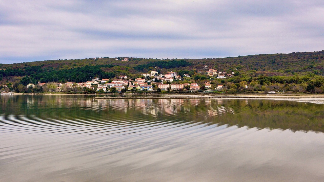 Photo of Others in Cizici