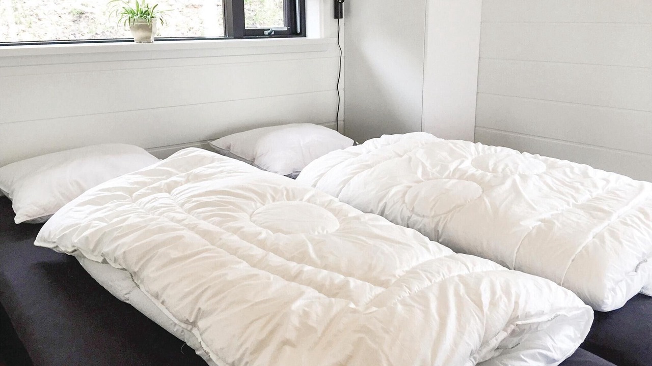 Photo of Others in Fynshav