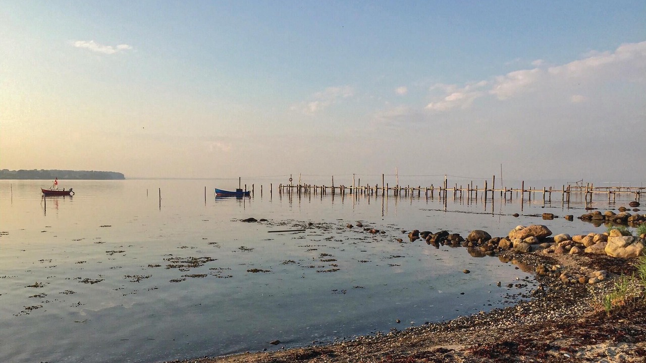 Photo of Others in Fynshav