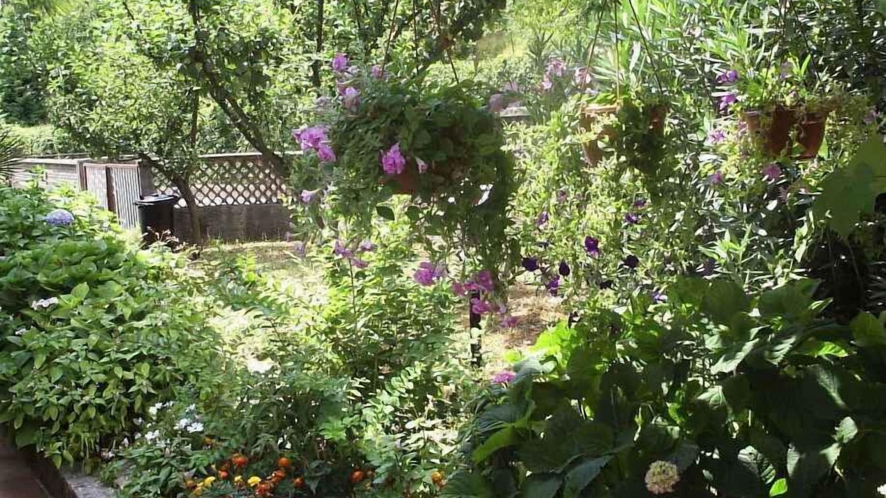 Photo of Outdoor in Opric