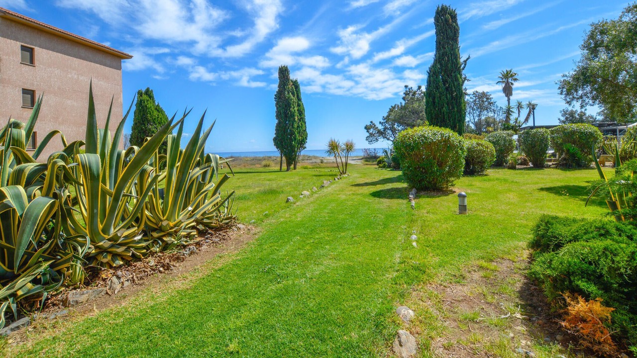 Photo of Others in Moriani-Plage