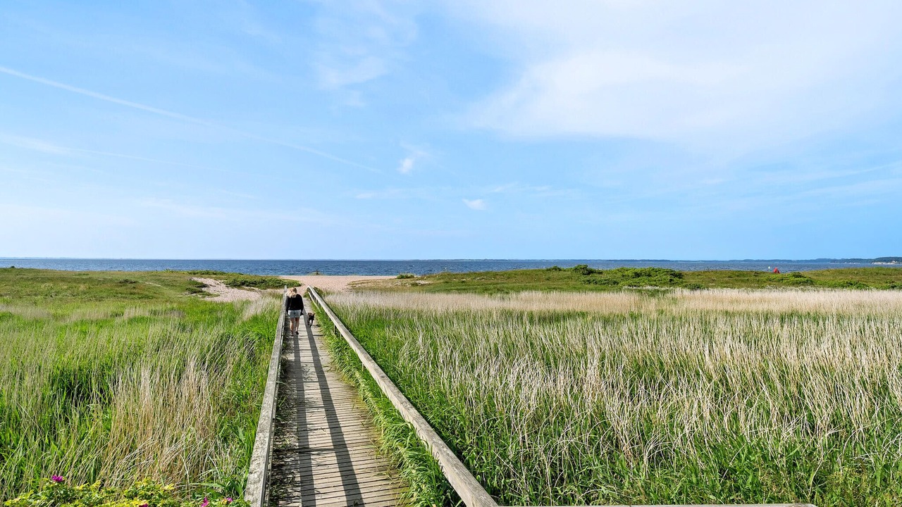 Photo of Others in Hejsager Strand