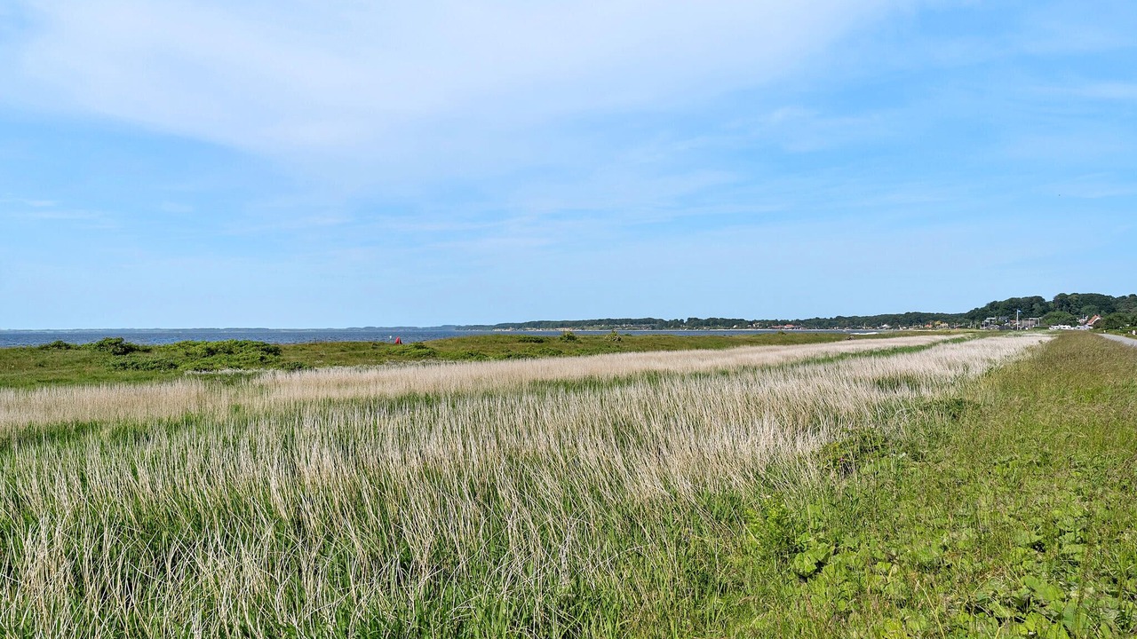 Photo of Others in Hejsager Strand
