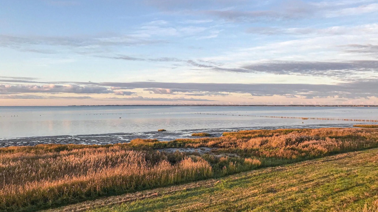 Photo of Others in Skaerbaek
