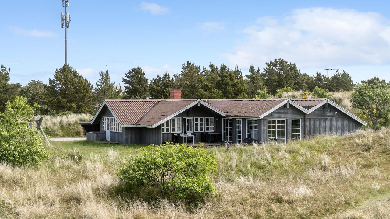 Photo of Others in Blavand Strand