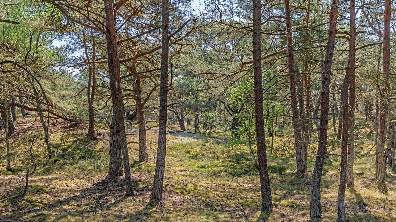 Photo of Others in Pedersker