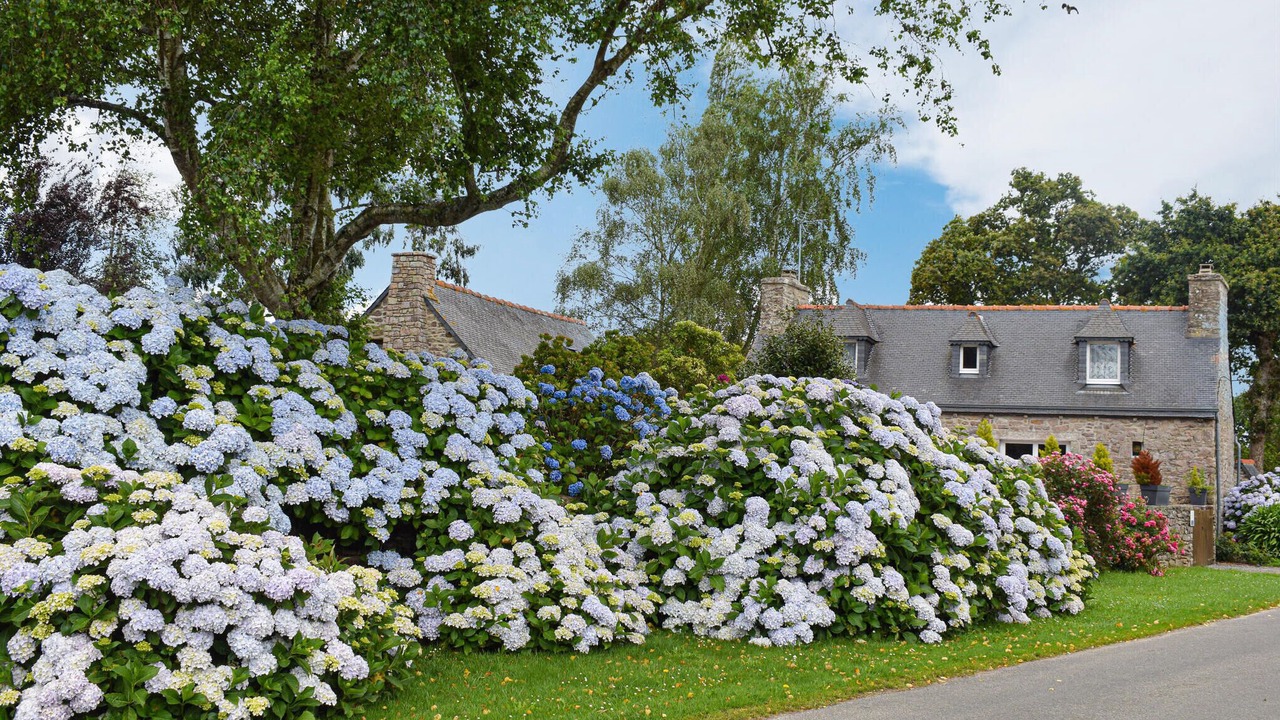 Photo of Others in Plehedel