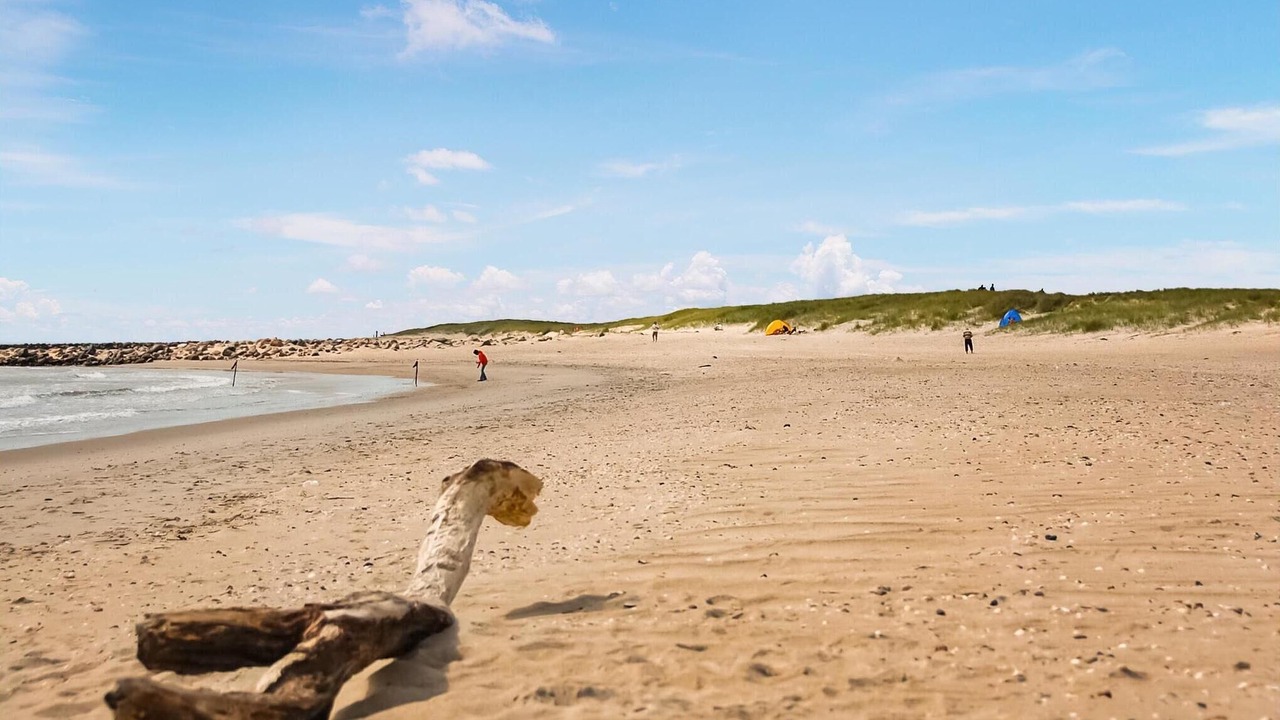 Photo of Others in Blavand Strand