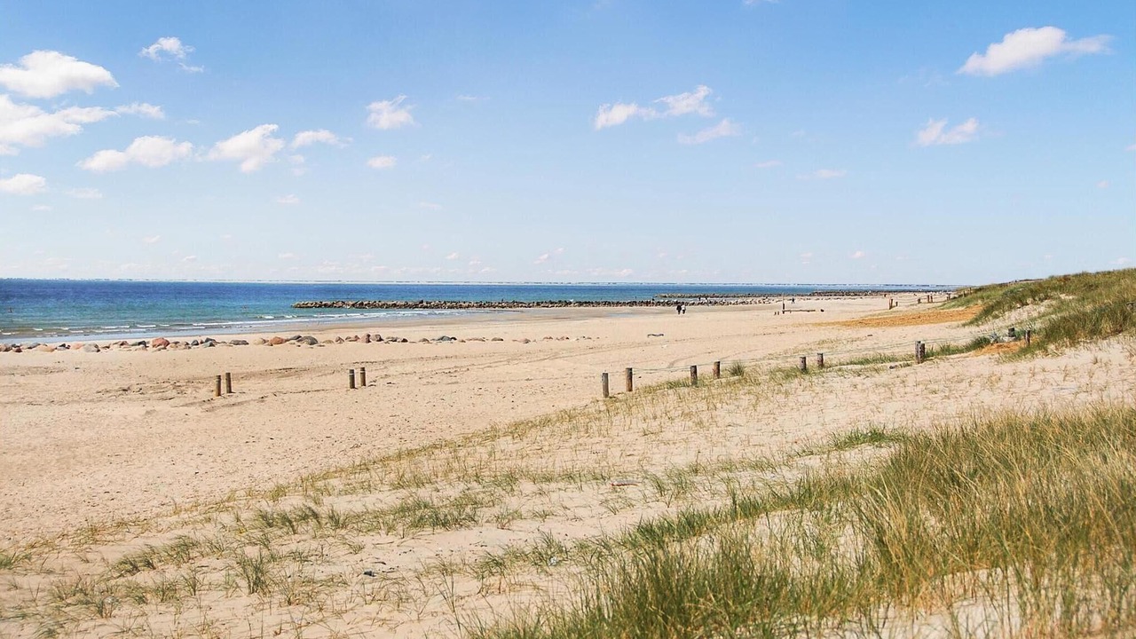 Photo of Others in Blavand Strand