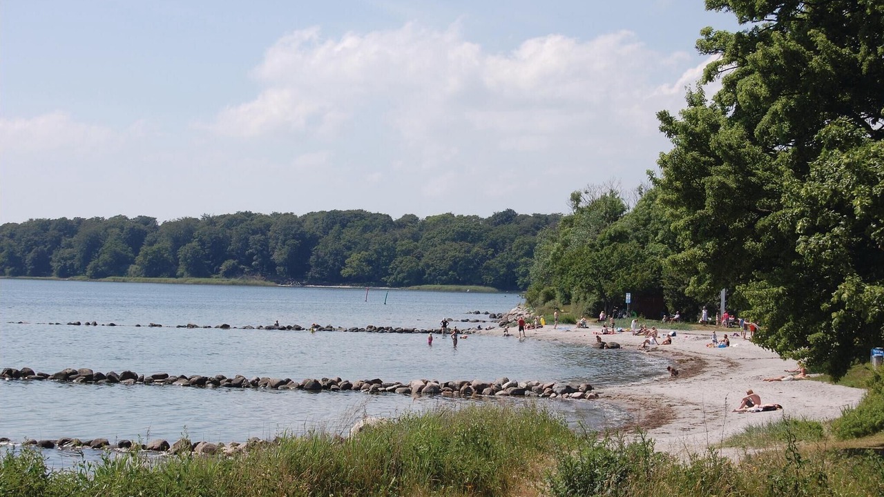 Photo of Others in Nysted