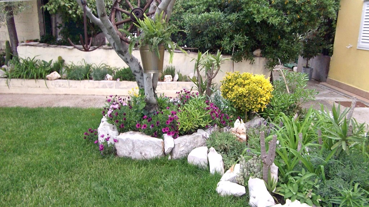 Photo of Outdoor in Blace