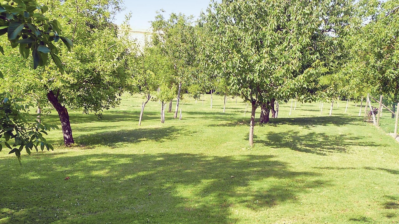 Photo of Outdoor in Bourgougnague