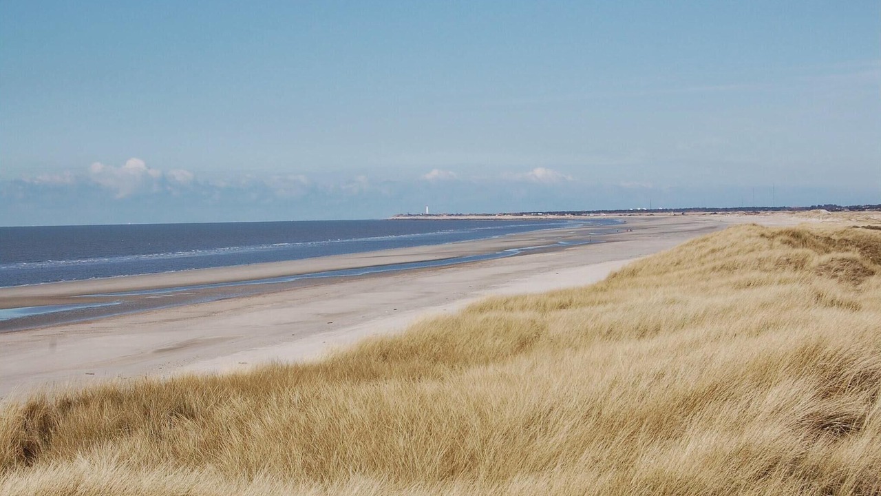 Photo of Others in Ho