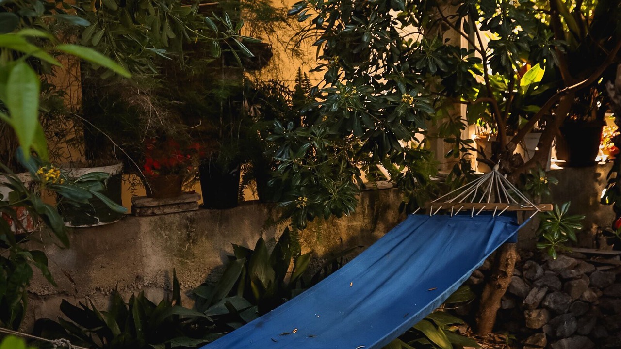 Photo of Outdoor in Orebic