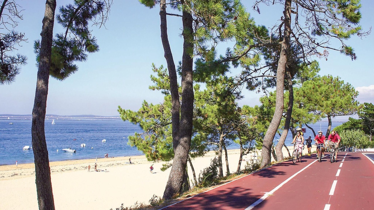 Photo of Others in Le Teich