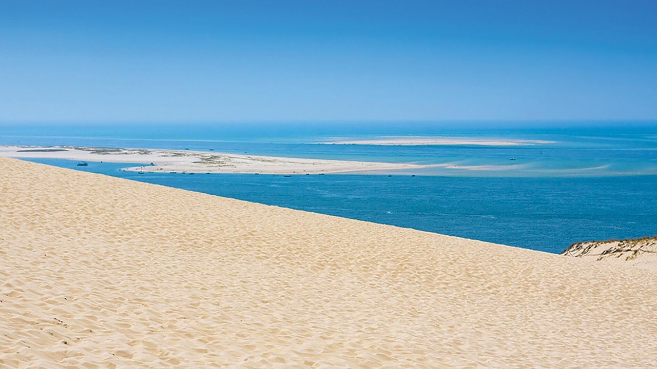 Photo of Others in Le Teich