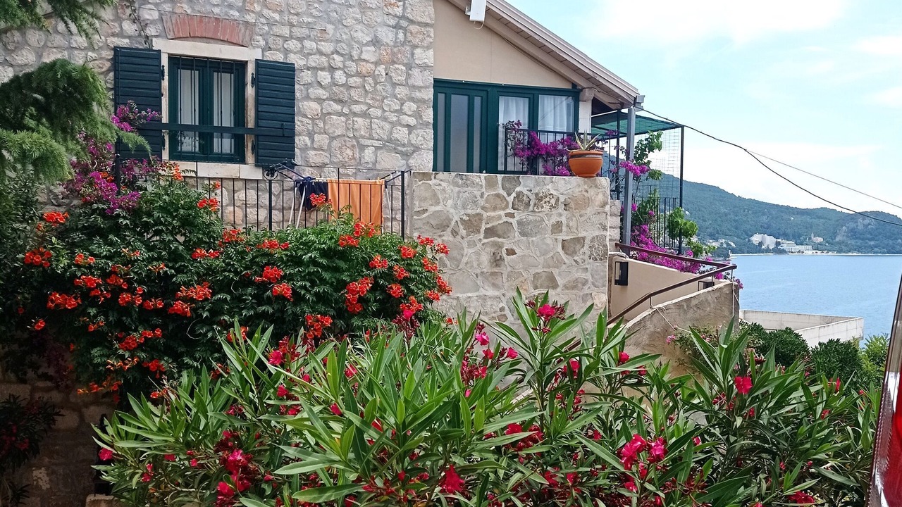 Photo of Outdoor in Igrane