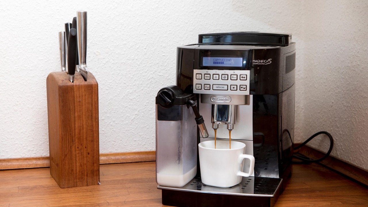 Photo of Others in Nordost