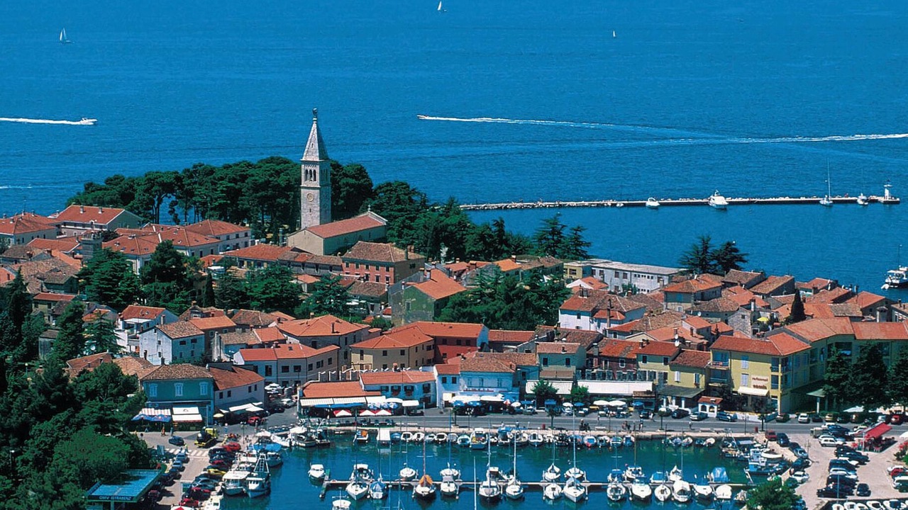 Photo of Others in Novigrad