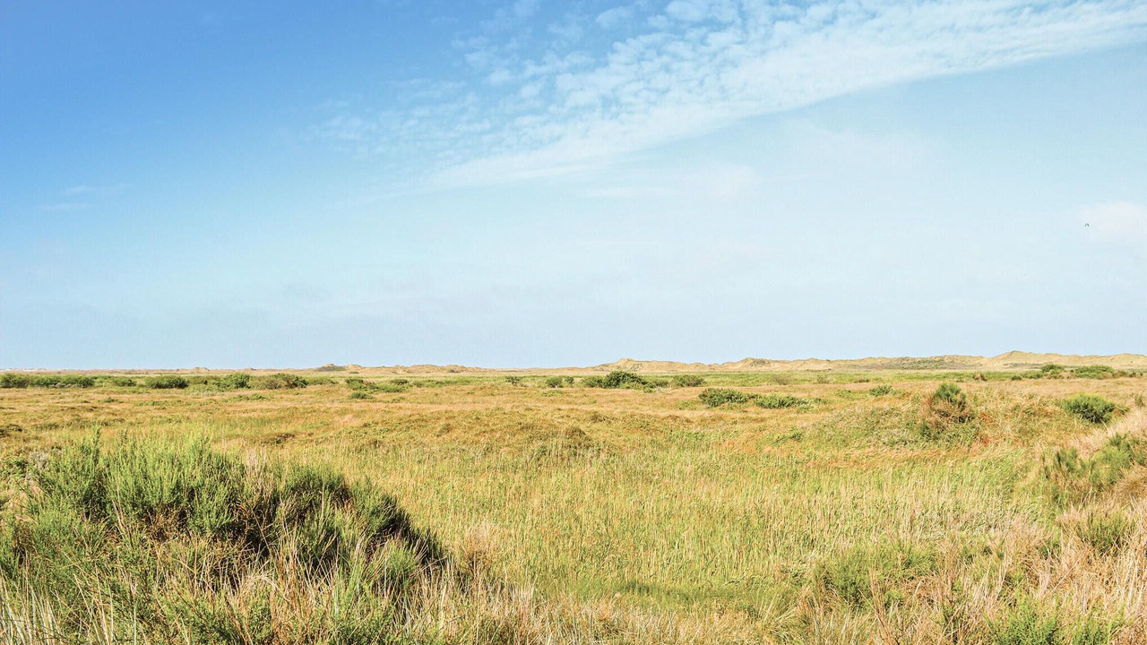 Photo of Others in Kongsmark