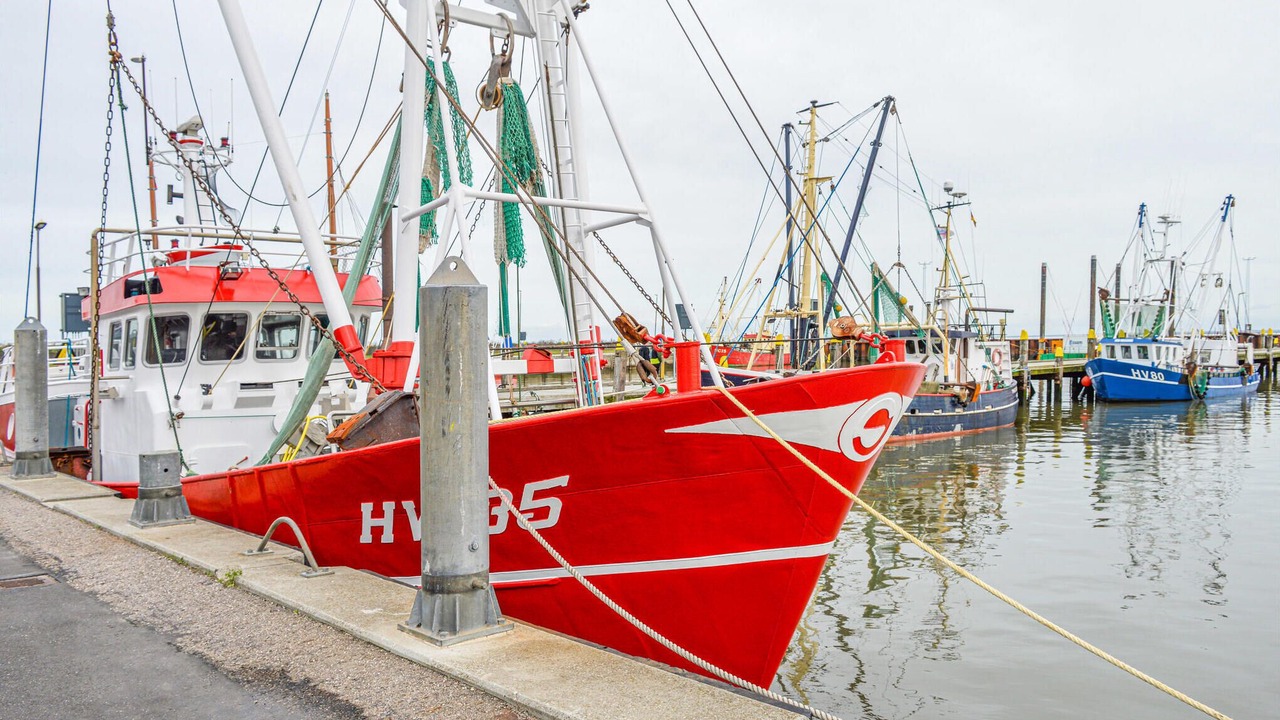 Photo of Others in Kongsmark