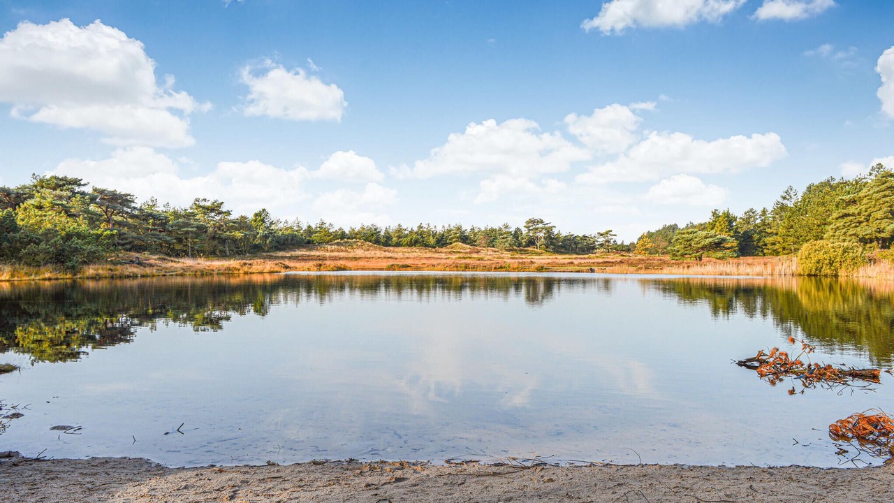 Photo of Others in Kongsmark