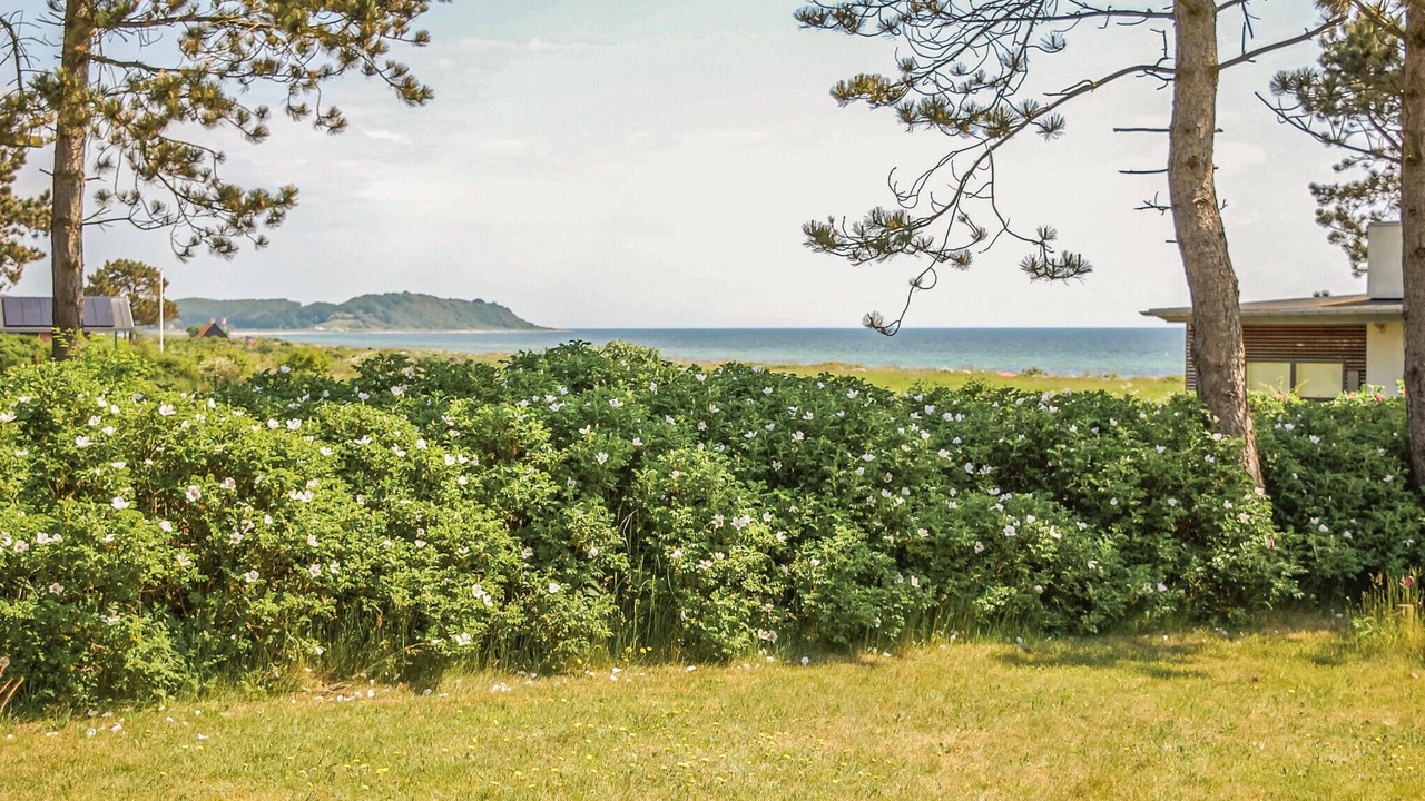 Photo of Outdoor in Ebeltoft
