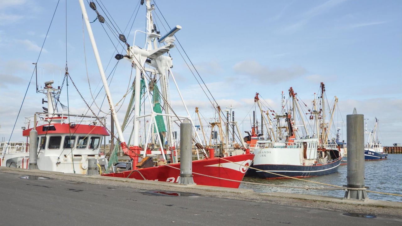 Photo of Others in Sønderstrand