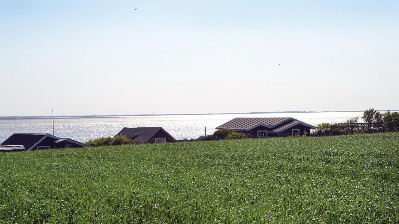 Photo of Others in Hjerting