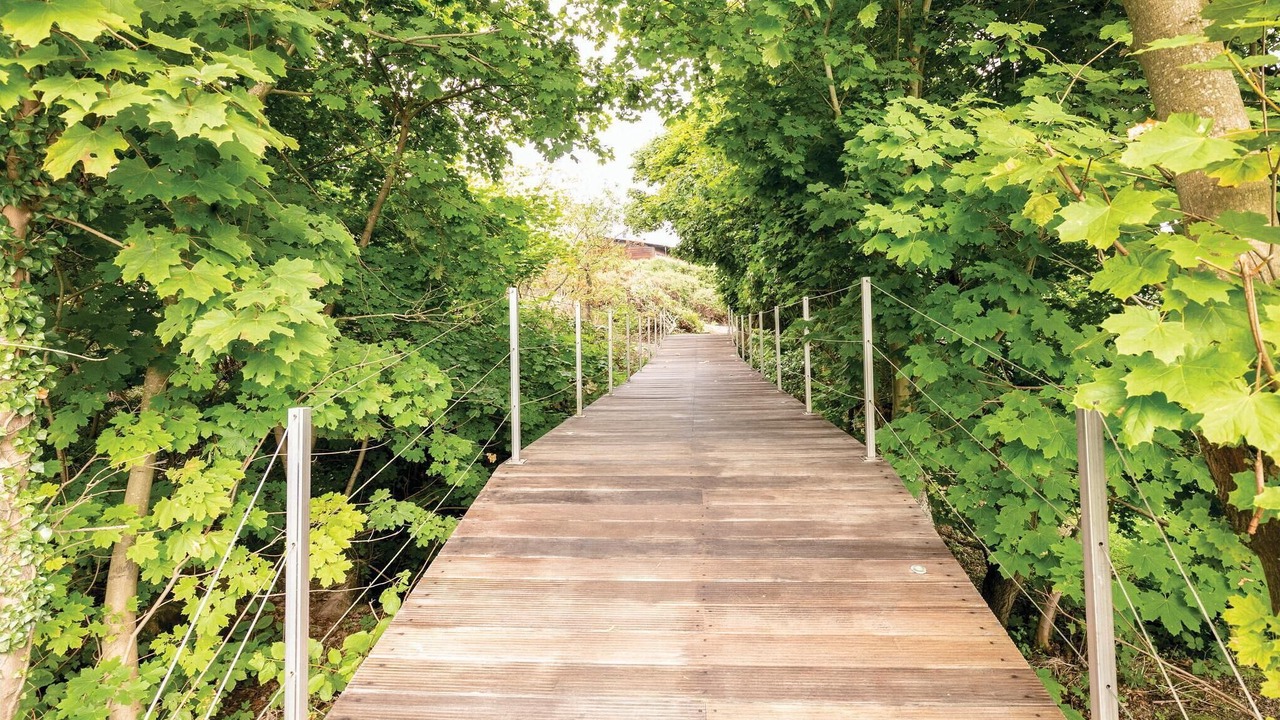 Photo of Others in Sandkaas