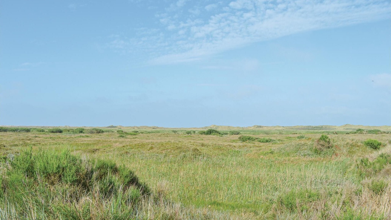 Photo of Others in Sønderstrand