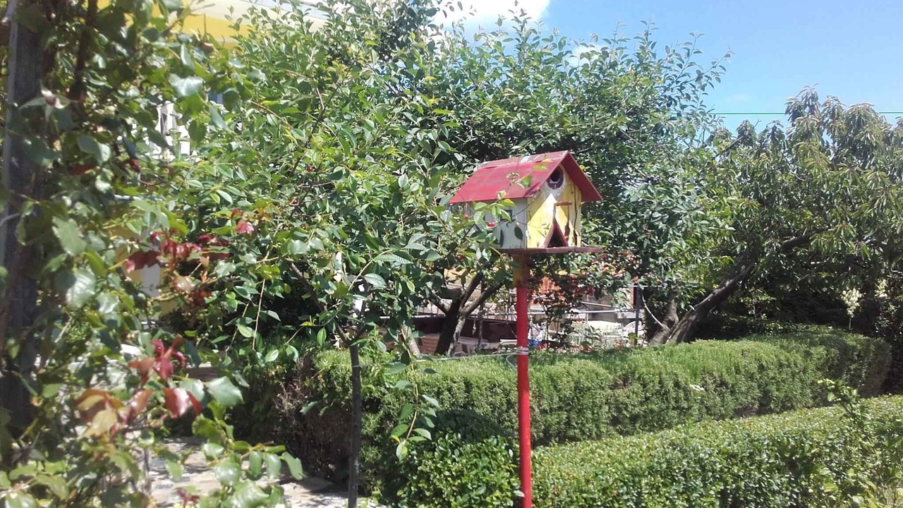 Photo of Outdoor in Lopar