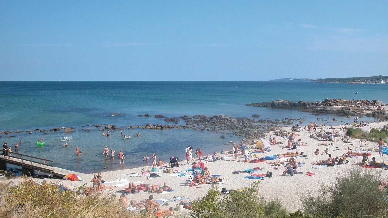Photo of Others in Sandkaas