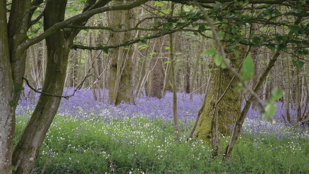 Photo of Others in Embry